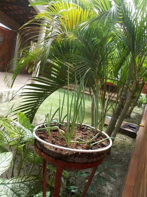 Toca Do Vaidoso Otel Barreirinhas Dış mekan fotoğraf